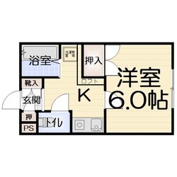 信開セルーラ文化町の物件間取画像